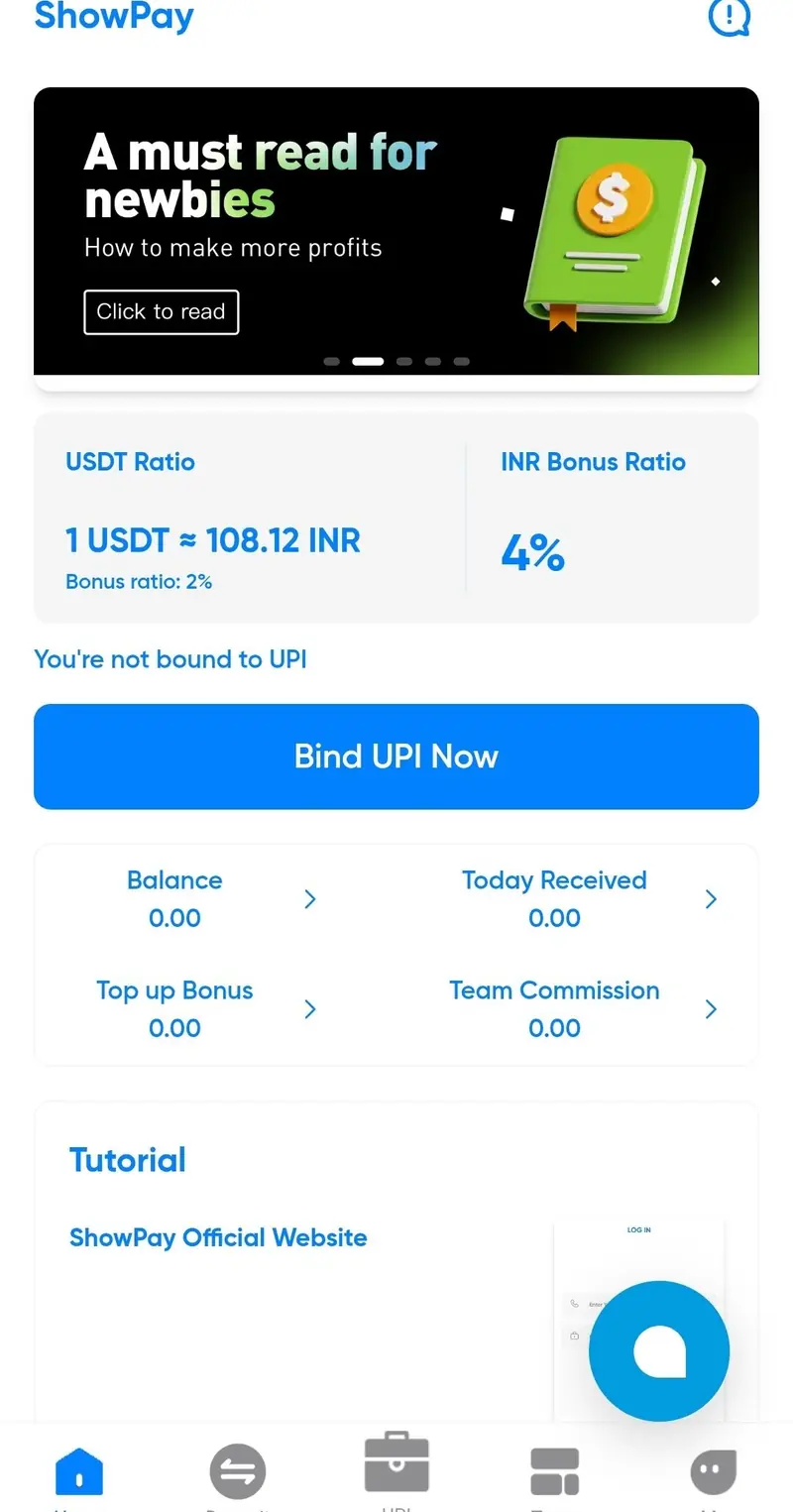 Show Pay Dashboard showing USDT Ratio and UPI binding